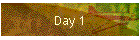 Day 1