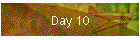 Day 10