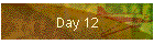 Day 12