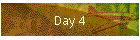 Day 4