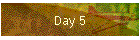 Day 5