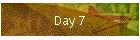 Day 7