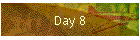 Day 8